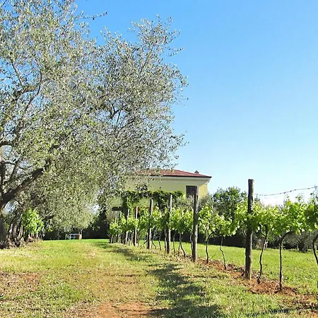 Villa Montecasciano *