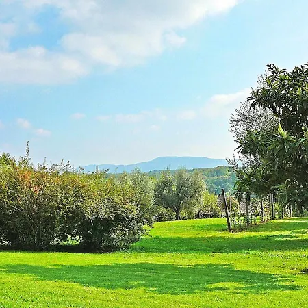 Villa Montecasciano 8 Posti Letto