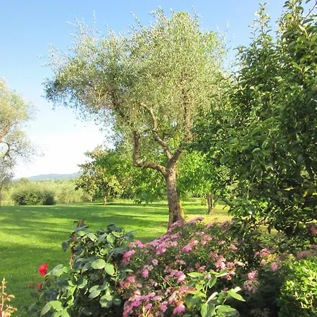 Montecasciano Capranica